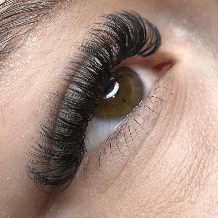 Volume Wimpernverlängerung La Femme Oldenburg